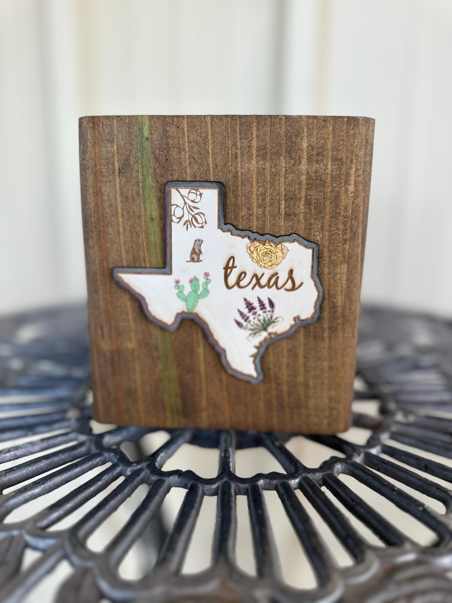 Texas shelf sitter
